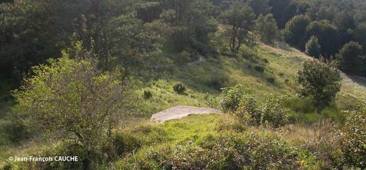 Camping Le Cote D'Opale คุกค์ ภายนอก รูปภาพ